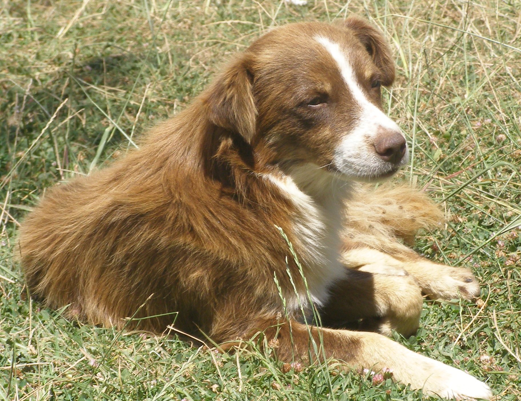 Kópia – Obrázok 022.jpg